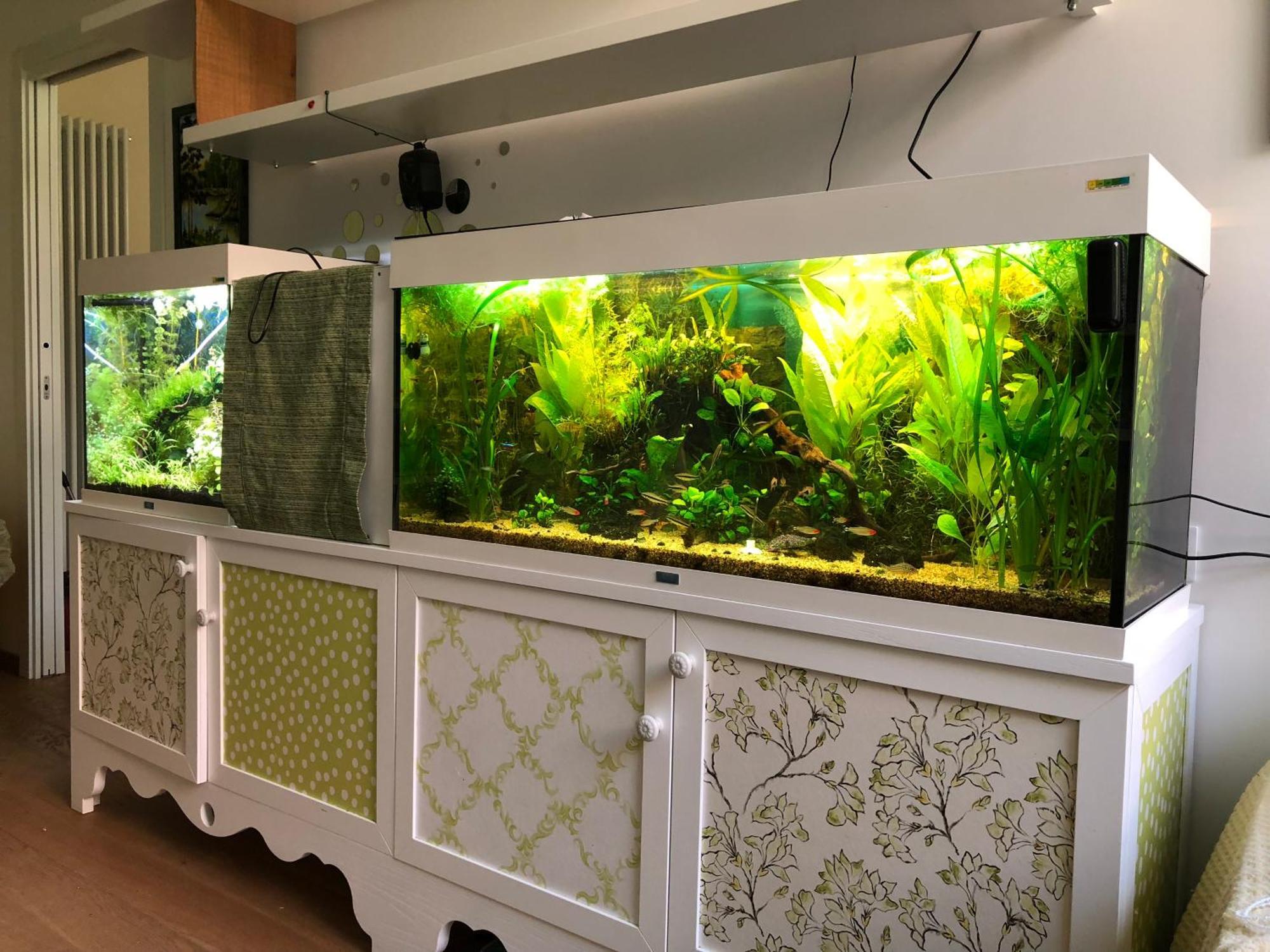 La Tana Dei Dalmatini Apartment ซัน เบเนเดตโต เดล ตรอนโต ภายนอก รูปภาพ
