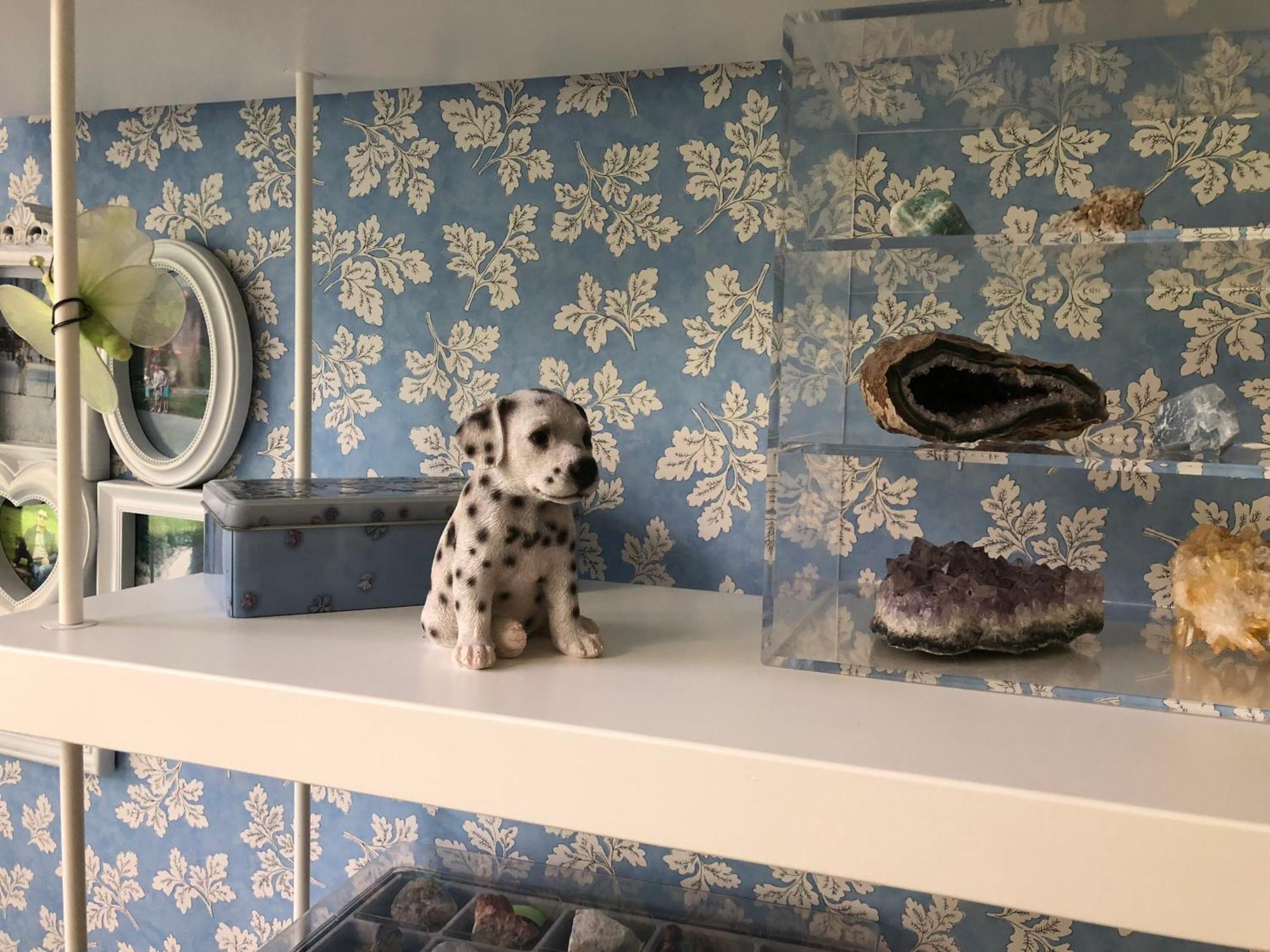 La Tana Dei Dalmatini Apartment ซัน เบเนเดตโต เดล ตรอนโต ภายนอก รูปภาพ