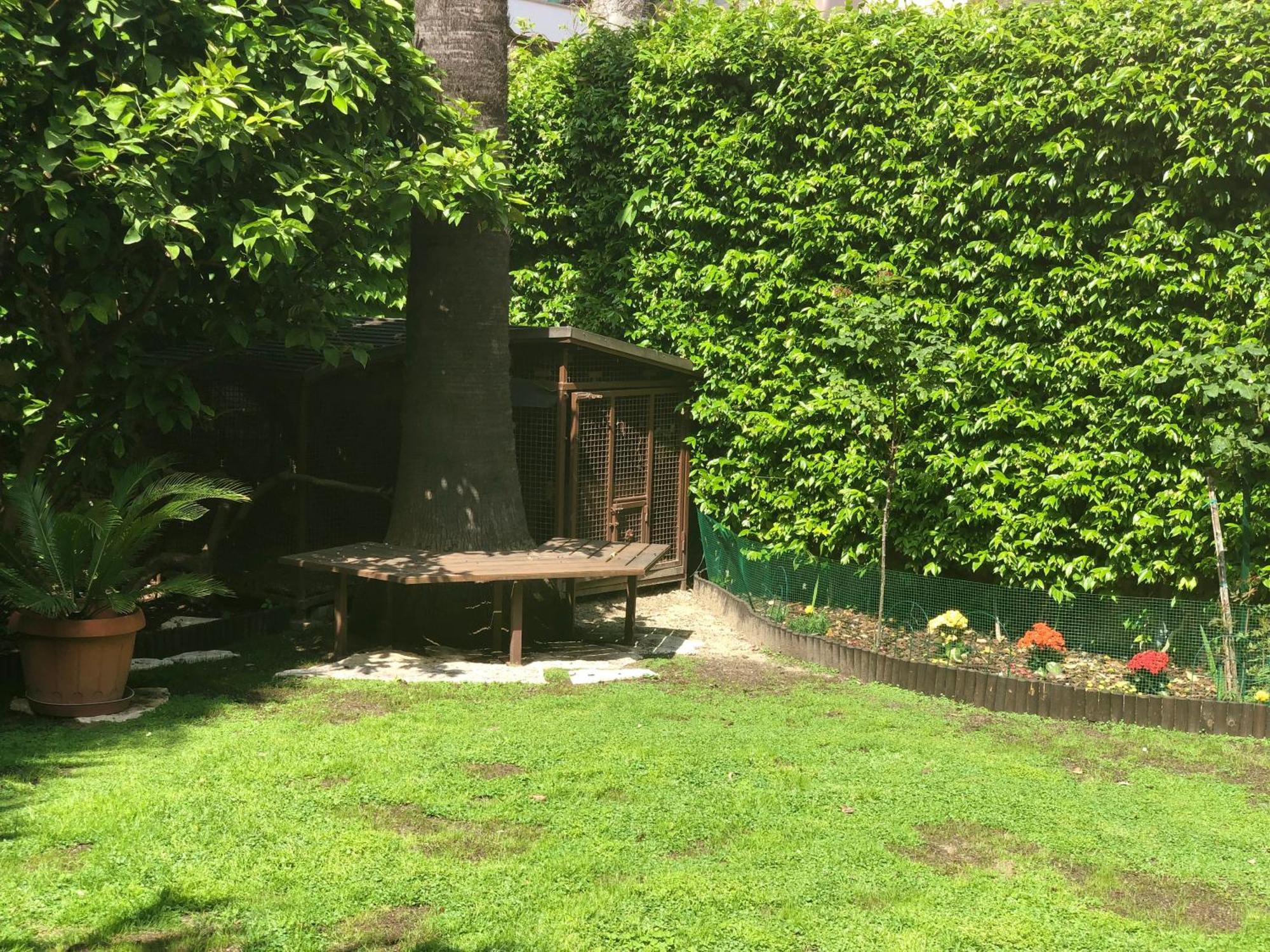 La Tana Dei Dalmatini Apartment ซัน เบเนเดตโต เดล ตรอนโต ภายนอก รูปภาพ